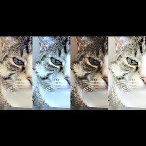 Meet your Posher, Parminder